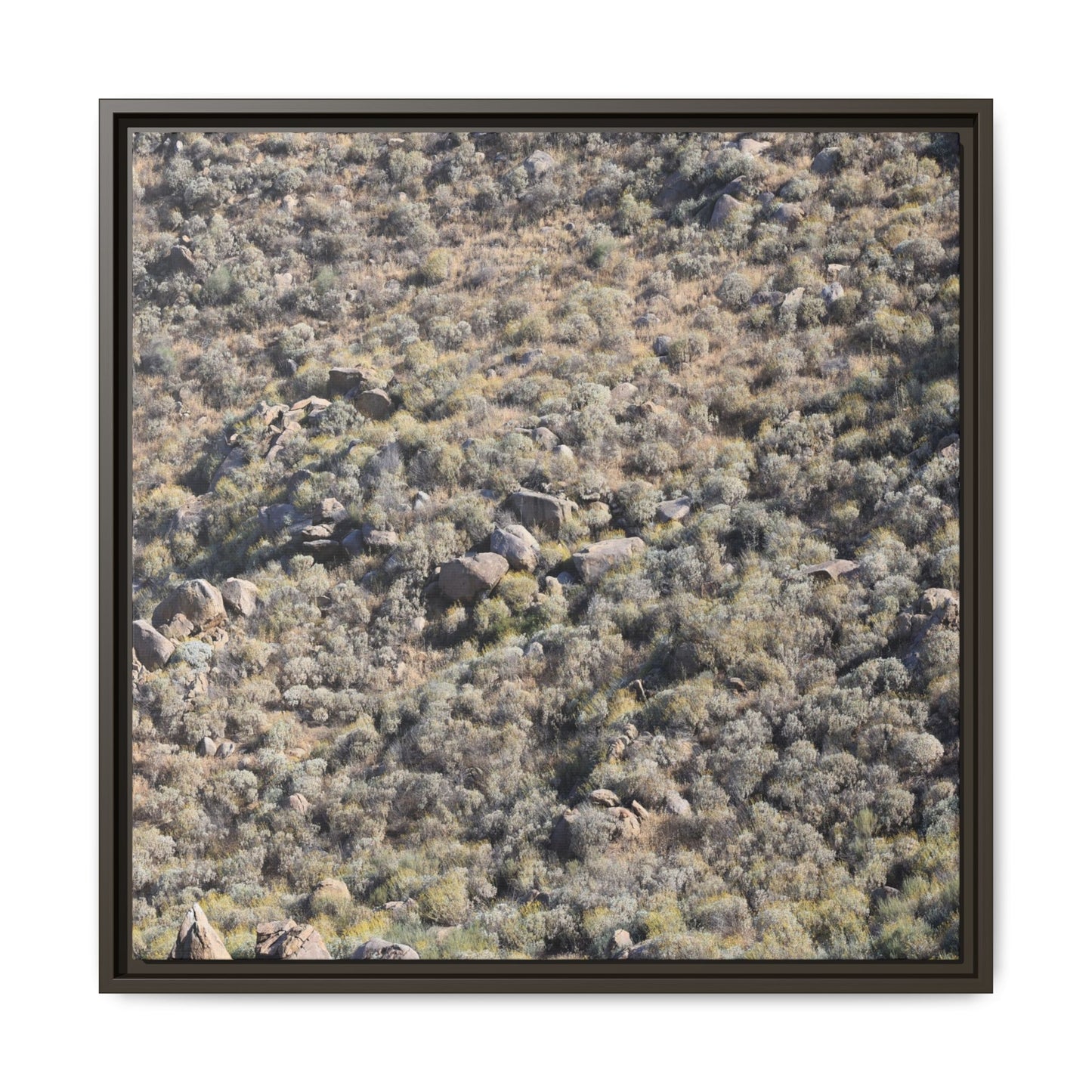 Arid Terrain Study - Unique Stretched Canvas Wall Art - Art By Earth
