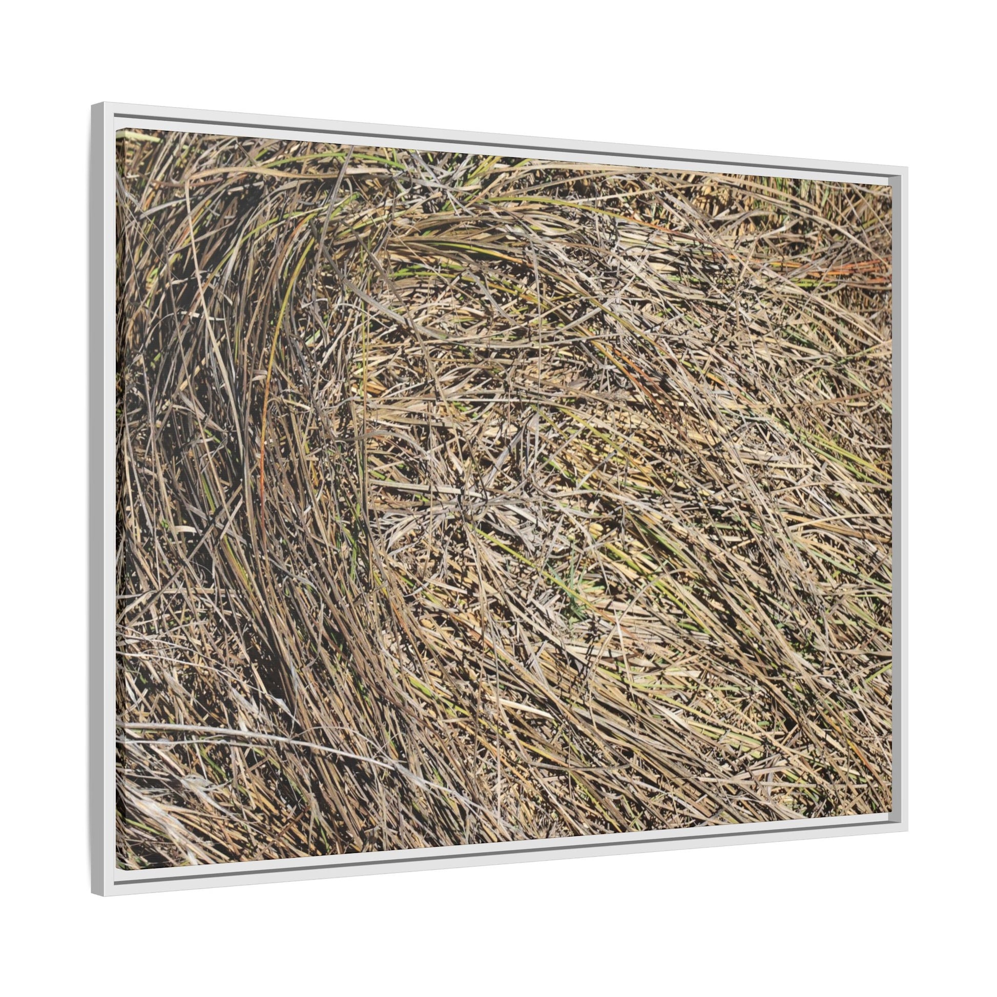 Tangled Grass Symphony - Unique Stretched Canvas Wall Art - Art By Earth