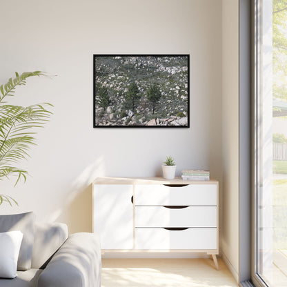 Rocky Hillside with Pine Trees - Unique Stretched Canvas Wall Art - Art By Earth