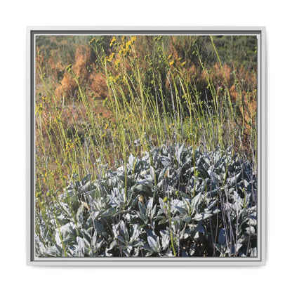 Arid Landscape with Yellow Flowers - Unique Stretched Canvas Wall Art - Art By Earth