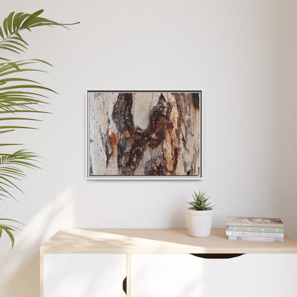 Texture of Time - Unique Stretched Canvas Wall Art - Art By Earth