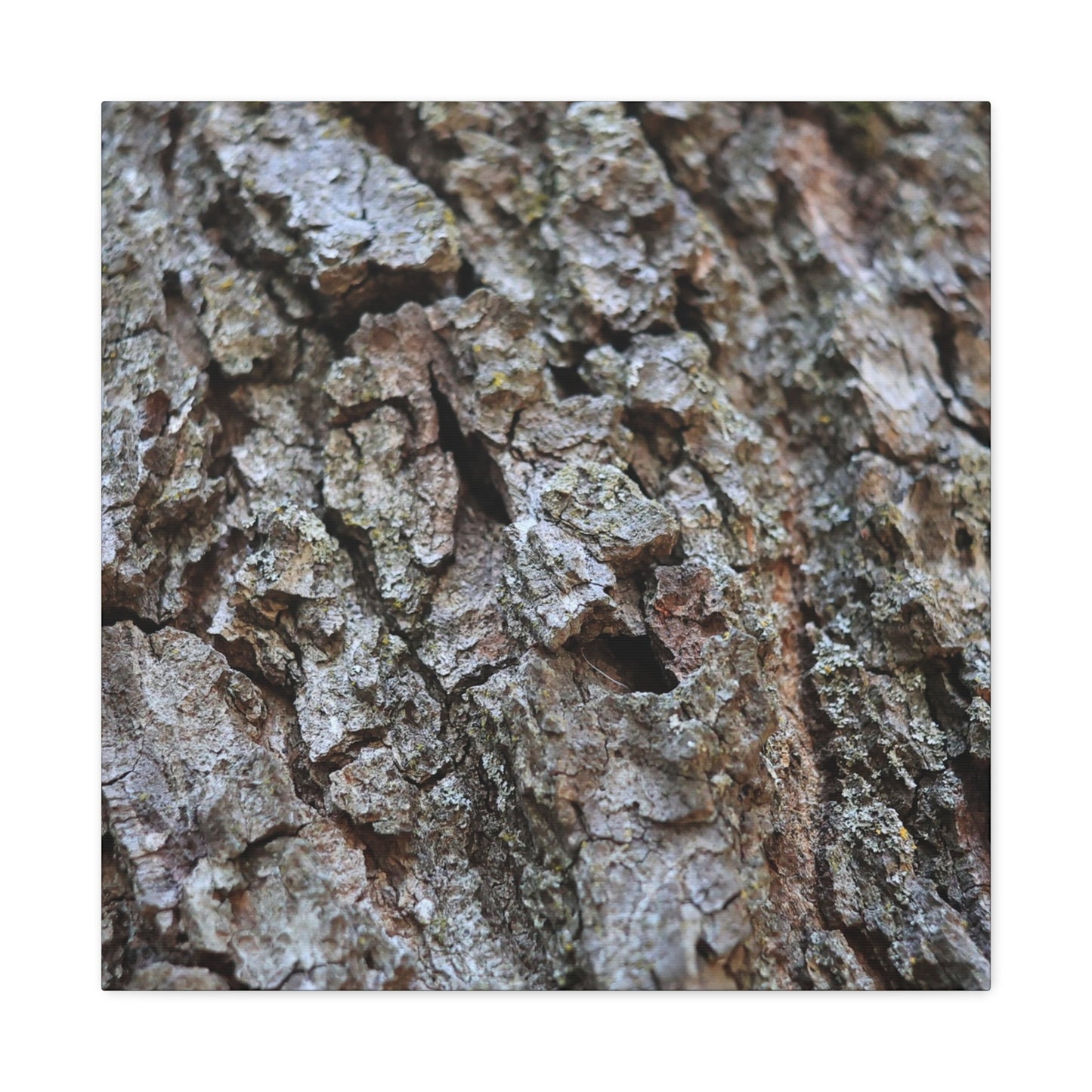 Cracked Echoes - Unique Frameless Canvas Wall Art - Art By Earth