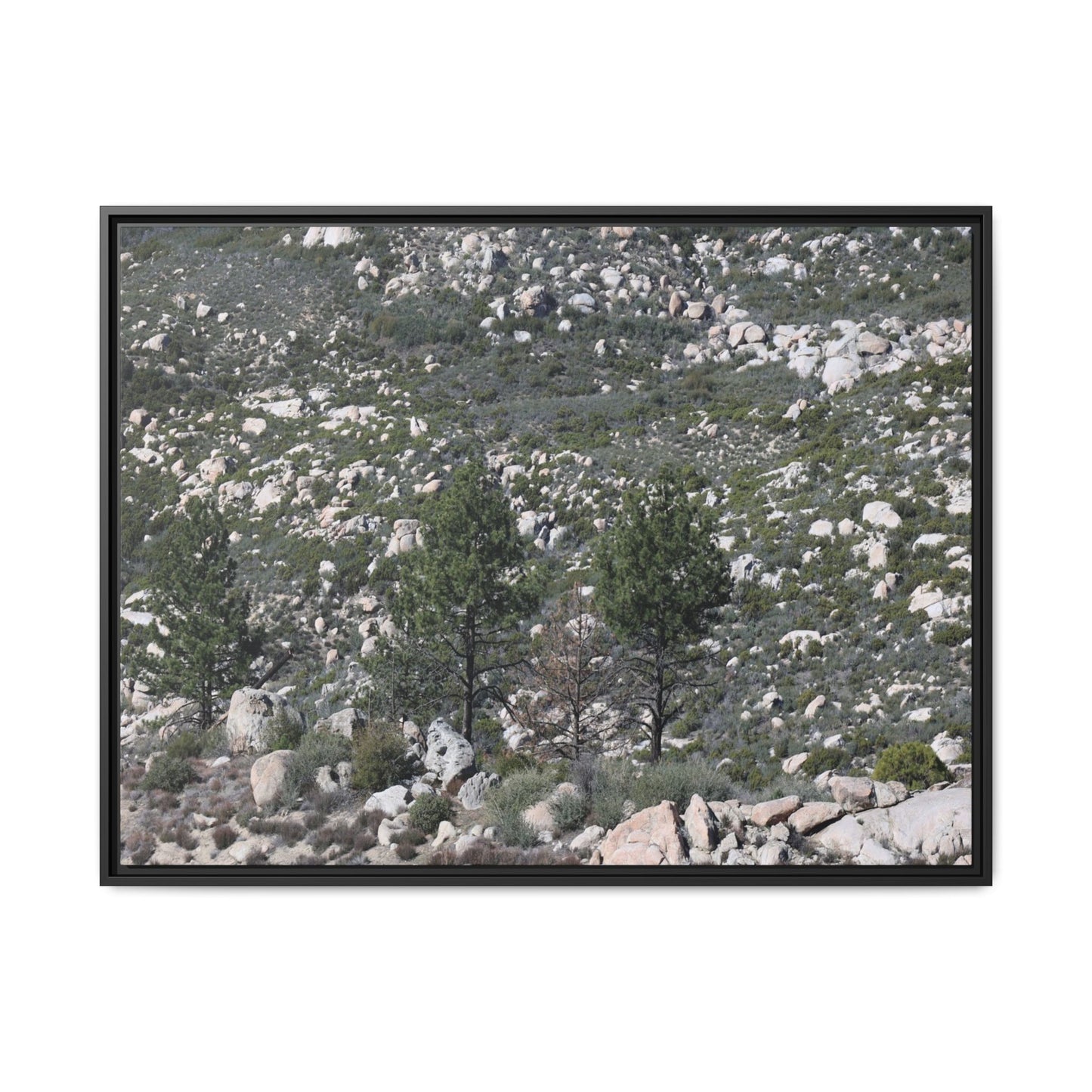 Rocky Hillside with Pine Trees - Unique Stretched Canvas Wall Art - Art By Earth