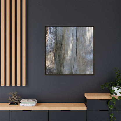 Cracked Timber Texture - Unique Stretched Canvas Wall Art