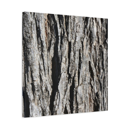 Bark Textures in Monochrome - Unique Frameless Canvas Wall Art - Art By Earth