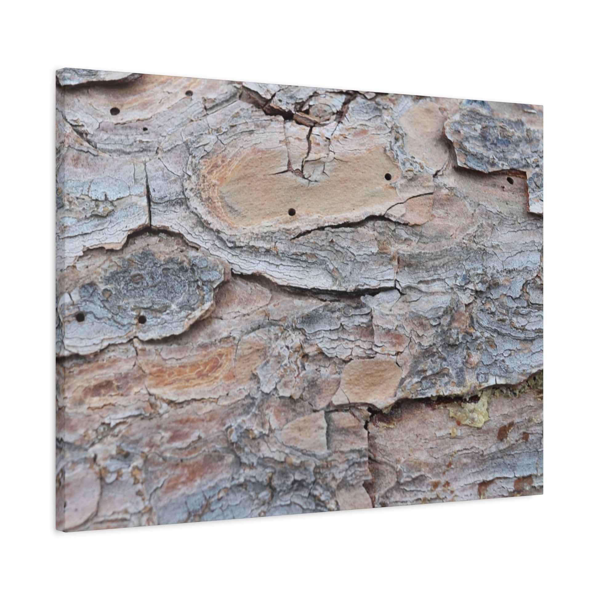Textural Geology - Unique Frameless Canvas Wall Art - Art By Earth