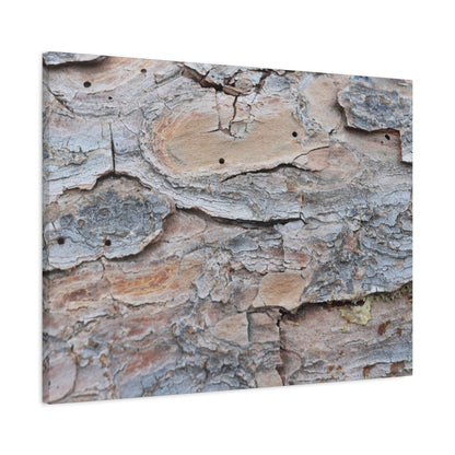 Textural Geology - Unique Frameless Canvas Wall Art - Art By Earth