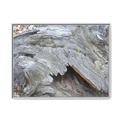 Driftwood Dreams - Unique Stretched Canvas Wall Art - Art By Earth