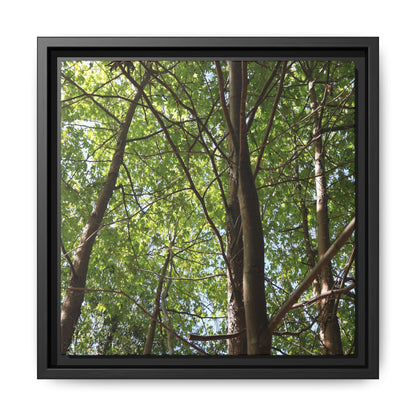 Forest Branches - Unique Stretched Canvas Wall Art