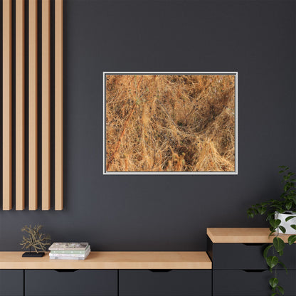 Dried Vegetation Study - Unique Stretched Canvas Wall Art - Art By Earth