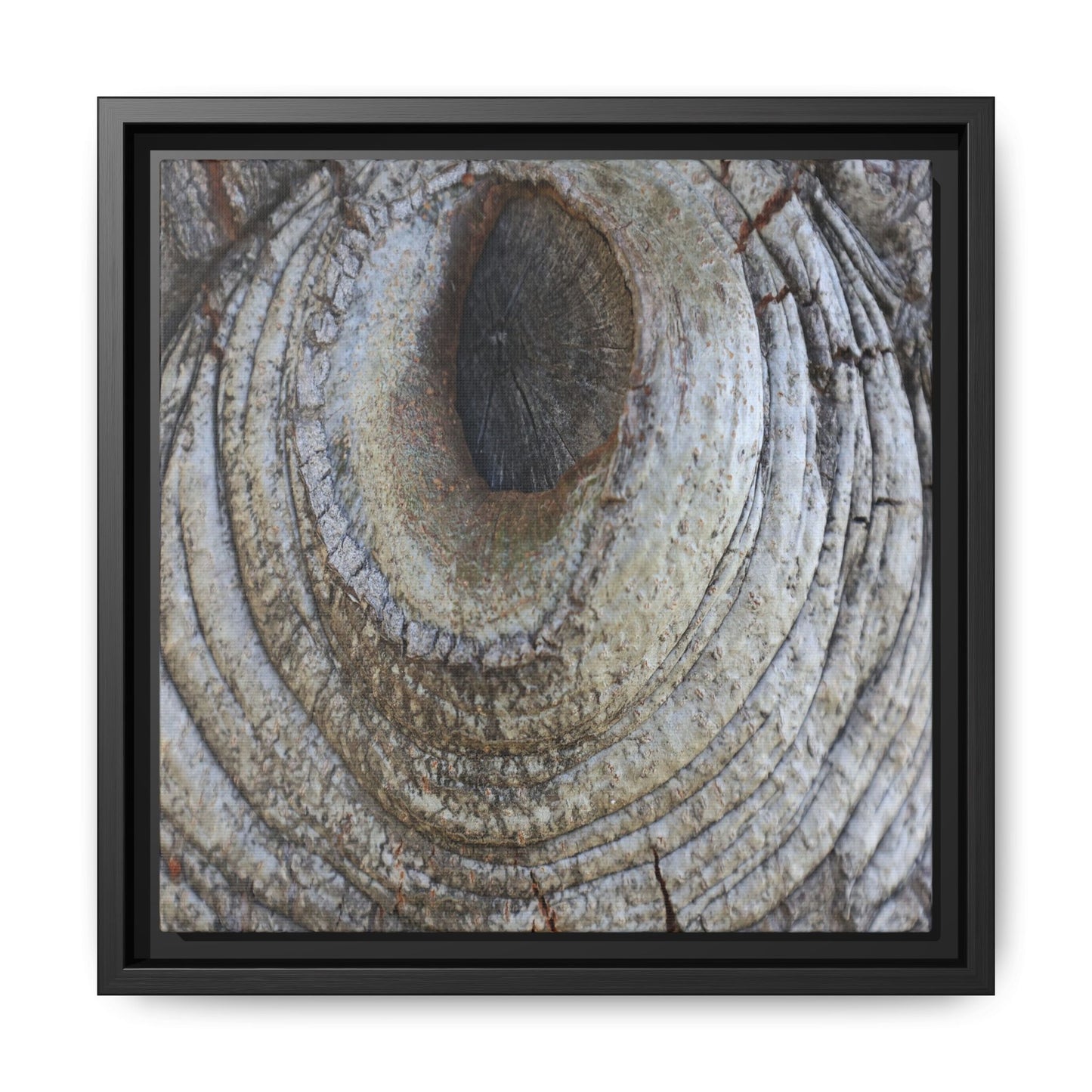 Echoes of Time - Unique Stretched Canvas Wall Art - Art By Earth