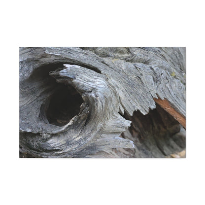 Twisted Whispers of the Forest Floor - Unique Frameless Canvas Wall Art - Art By Earth