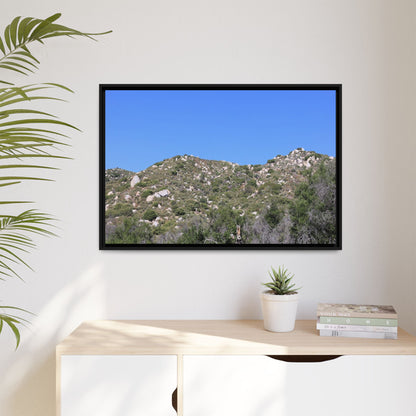 Sparse Vegetation - Unique Stretched Canvas Wall Art