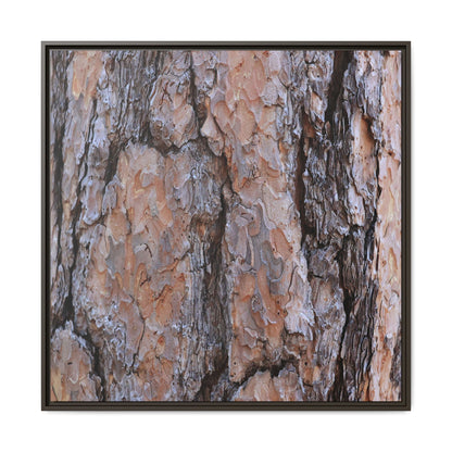 Tree Skin Symphony - Unique Stretched Canvas Wall Art - Art By Earth