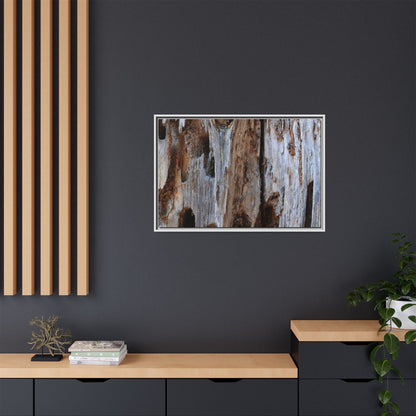 Decaying Splendor - Unique Stretched Canvas Wall Art - Art By Earth