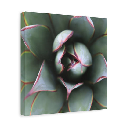 Emerald Spiral - Unique Frameless Canvas Wall Art - Art By Earth