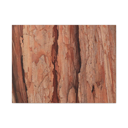 Bark Layers of Time - Unique Frameless Canvas Wall Art - Art By Earth