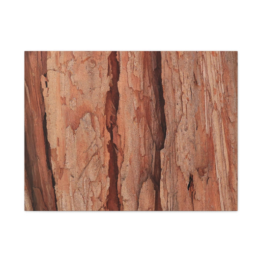 Bark Layers of Time - Unique Frameless Canvas Wall Art - Art By Earth