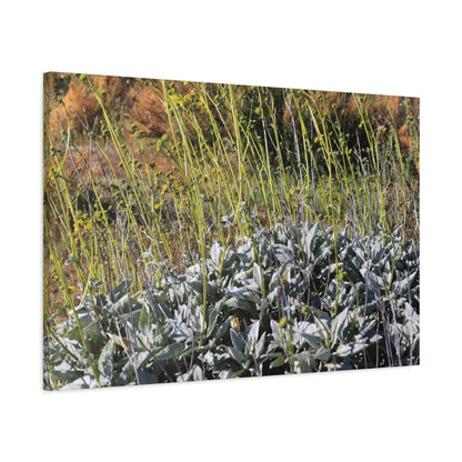 Desert Wildflowers in Bloom - Unique Frameless Canvas Wall Art - Art By Earth