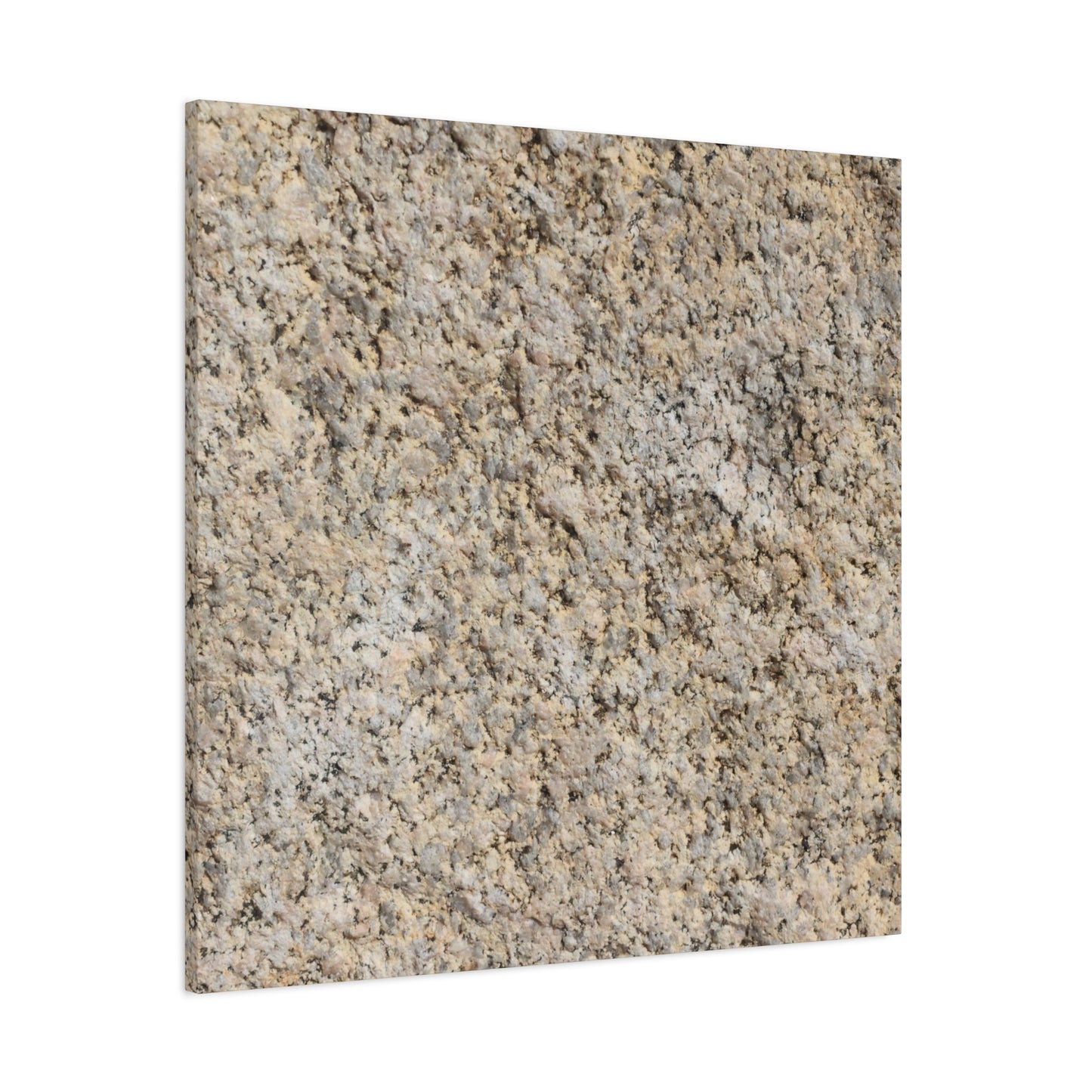 Granular Echoes - Unique Frameless Canvas Wall Art - Art By Earth