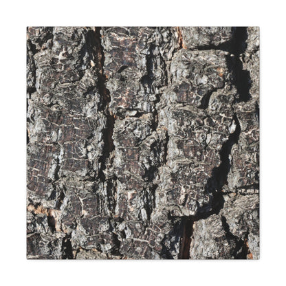 Cracked Skin of Earth - Unique Frameless Canvas Wall Art - Art By Earth