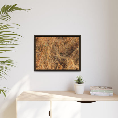Dried Vegetation Study - Unique Stretched Canvas Wall Art - Art By Earth