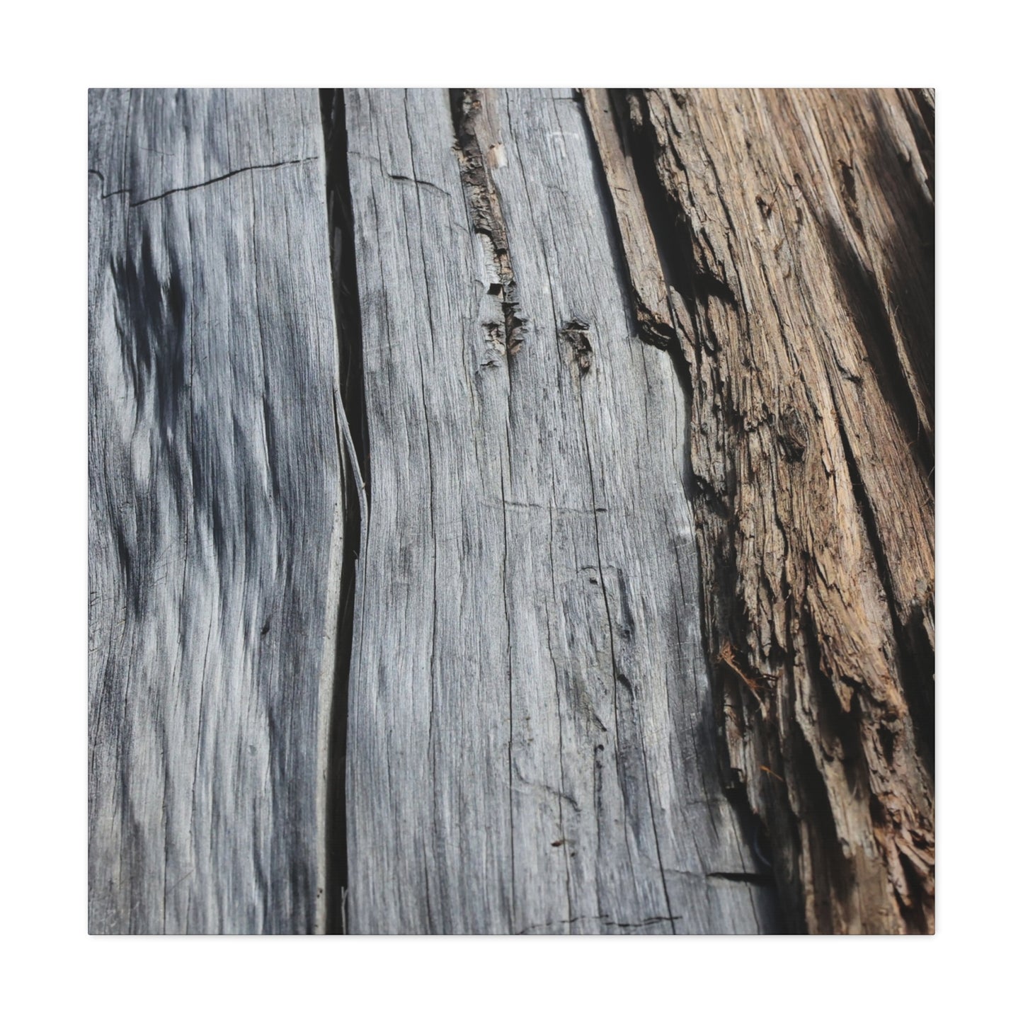 Fracture Lines - Unique Frameless Canvas Wall Art - Art By Earth