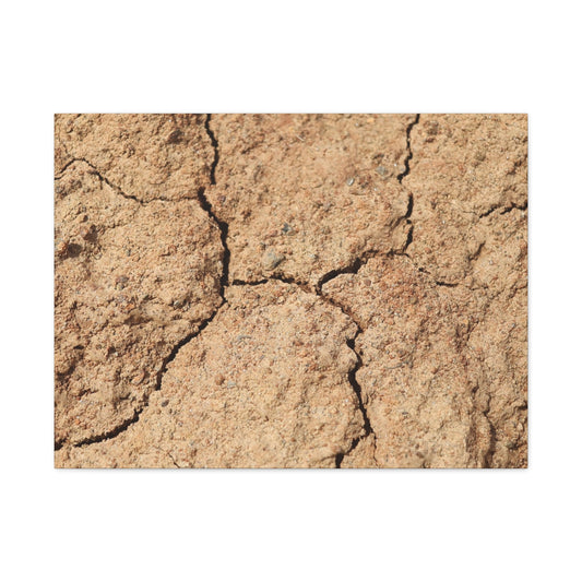 Cracked Earth's Lament - Unique Frameless Canvas Wall Art - Art By Earth