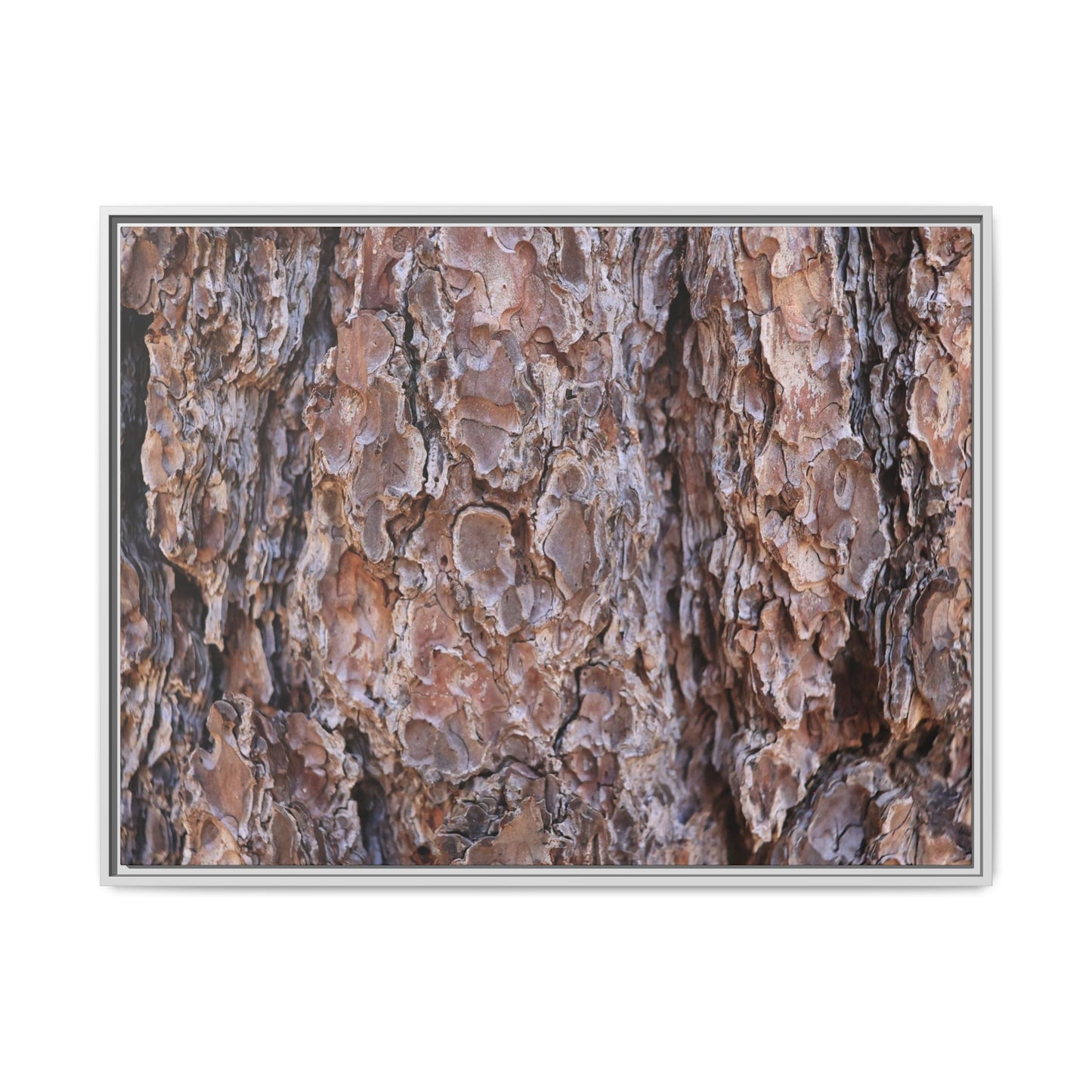 Woody Layers - Unique Stretched Canvas Wall Art - Art By Earth