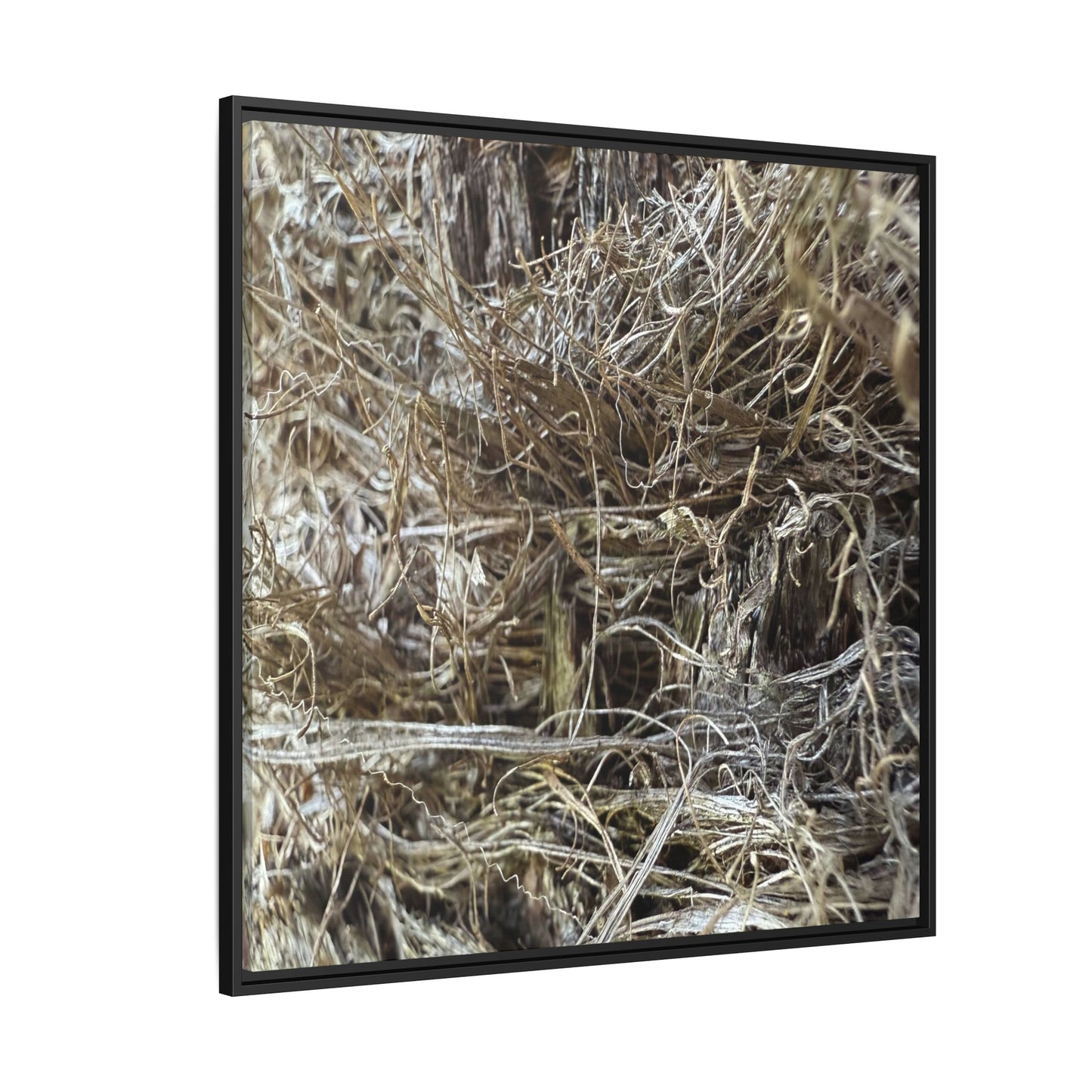 Tangled Whispers of Autumn - Unique Stretched Canvas Wall Art - Art By Earth