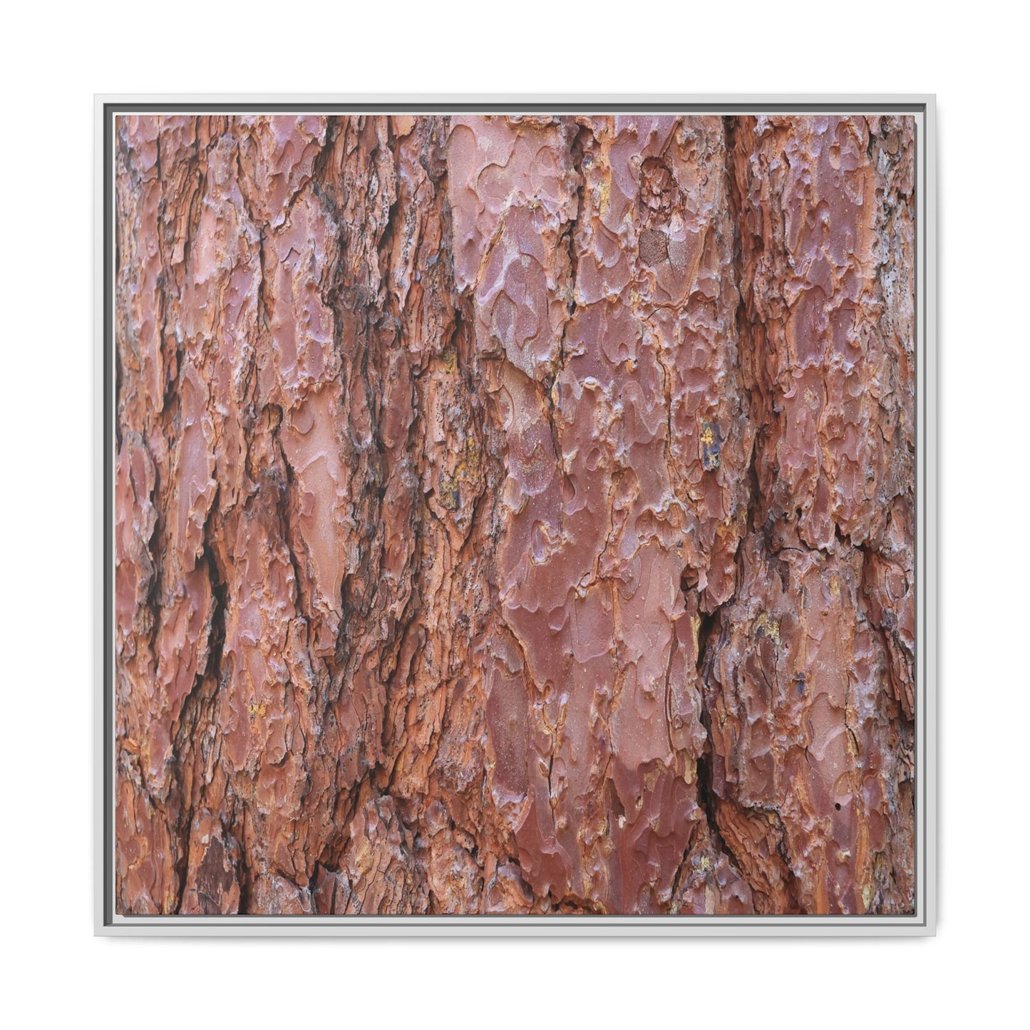 Russet Ridges - Unique Stretched Canvas Wall Art - Art By Earth