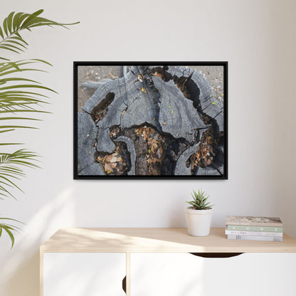 Time's Fractal Memory - Unique Stretched Canvas Wall Art - Art By Earth