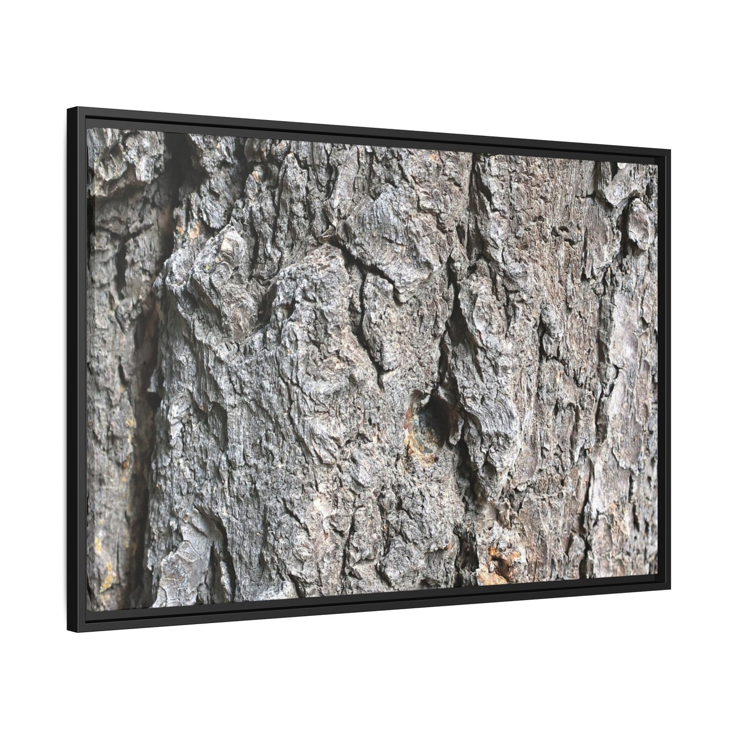 Crusty Exterior - Unique Stretched Canvas Wall Art - Art By Earth
