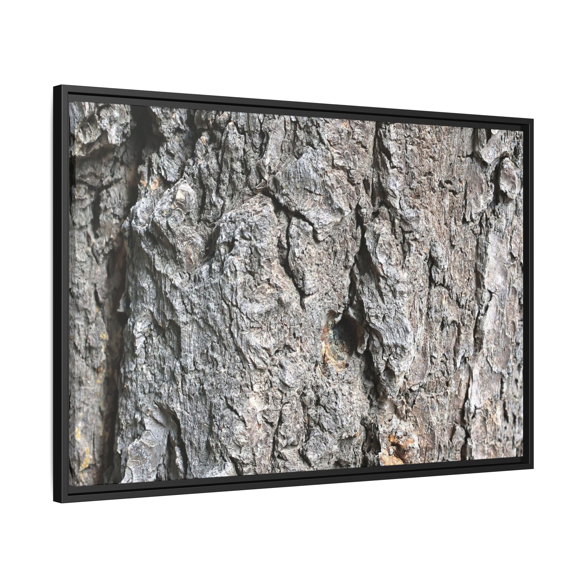Crusty Exterior - Unique Stretched Canvas Wall Art - Art By Earth
