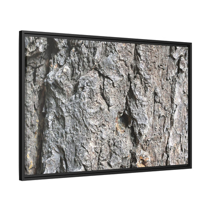 Crusty Exterior - Unique Stretched Canvas Wall Art - Art By Earth