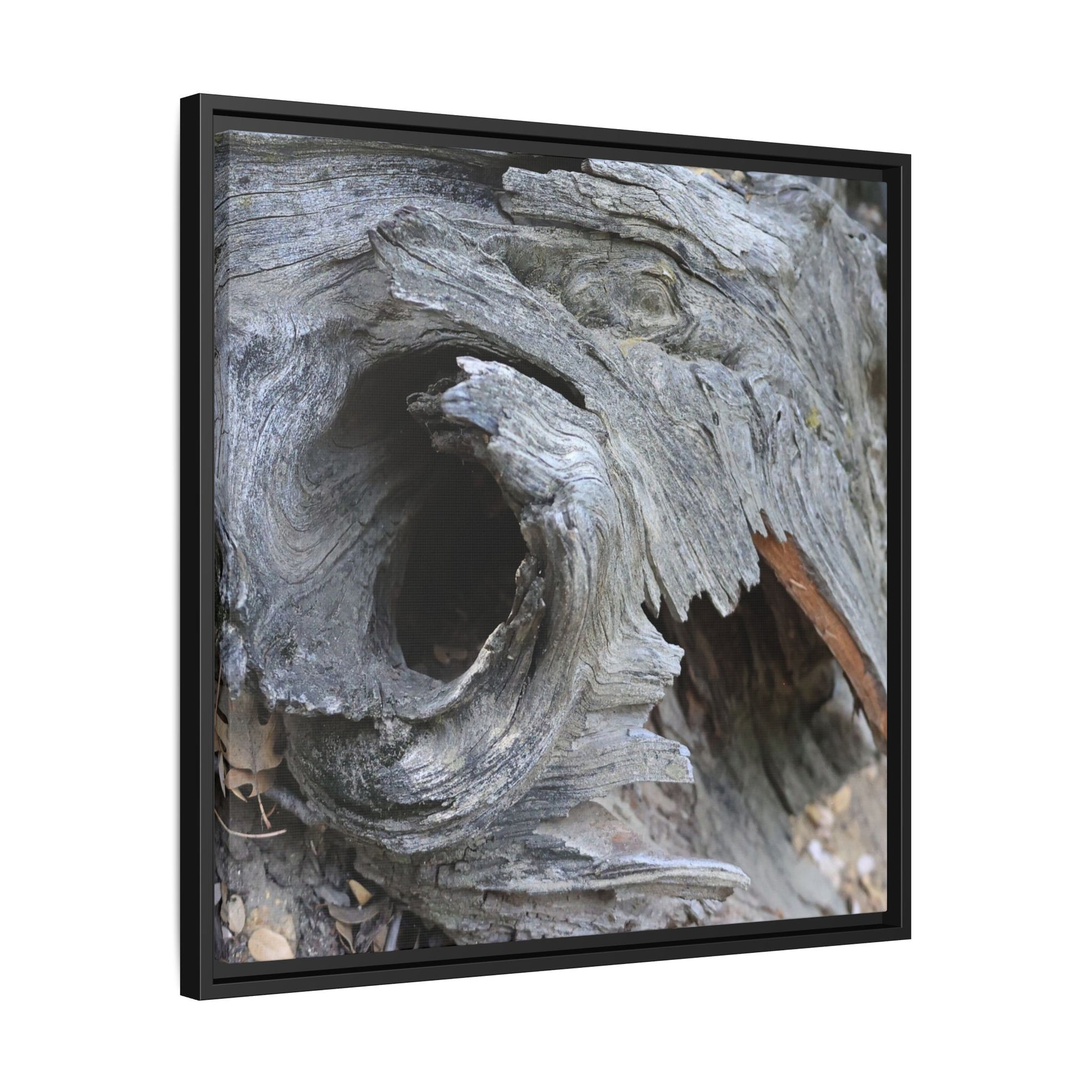 Bark's Labyrinth - Unique Stretched Canvas Wall Art - Art By Earth