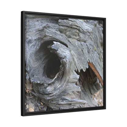 Bark's Labyrinth - Unique Stretched Canvas Wall Art - Art By Earth