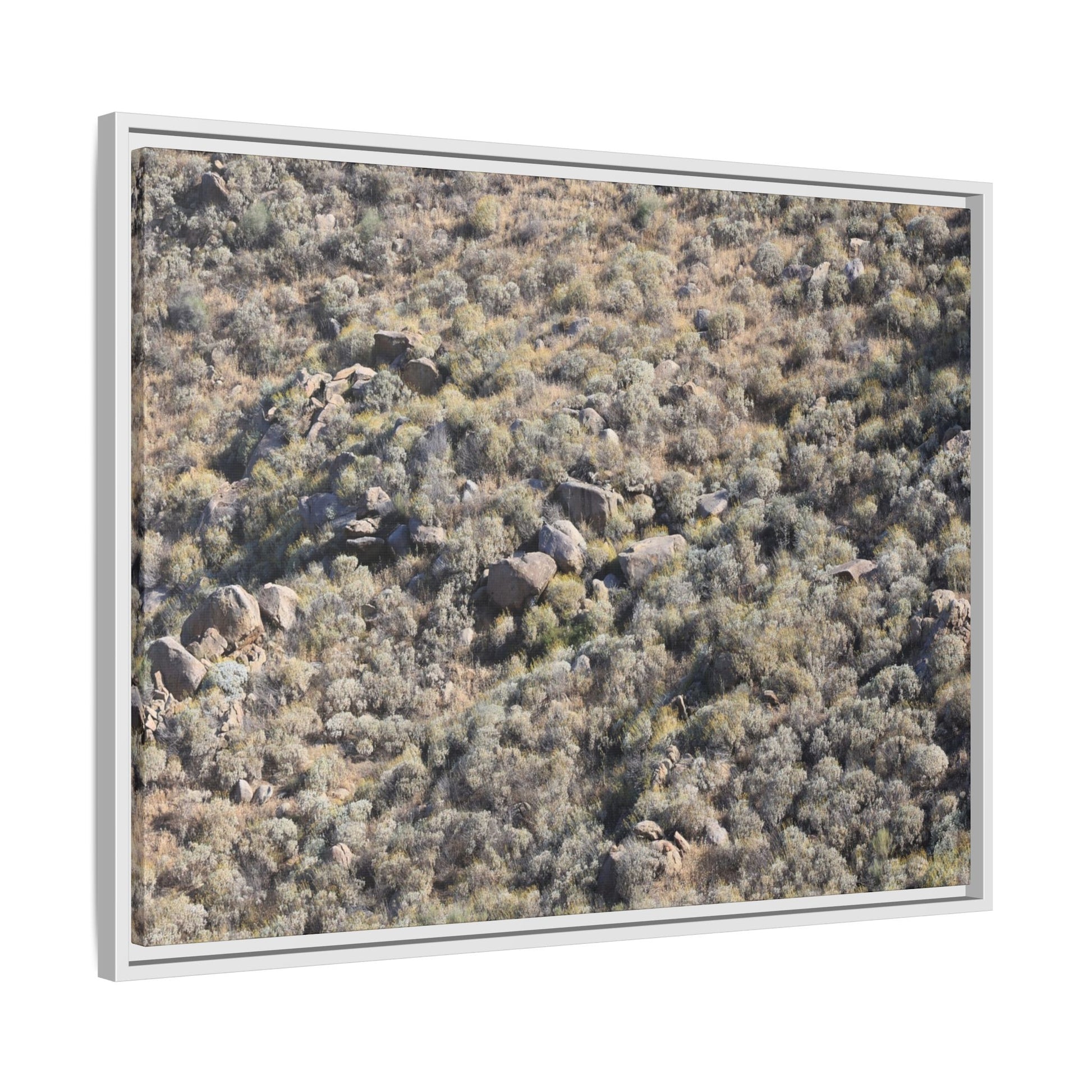Arid Terrain Study - Unique Stretched Canvas Wall Art - Art By Earth