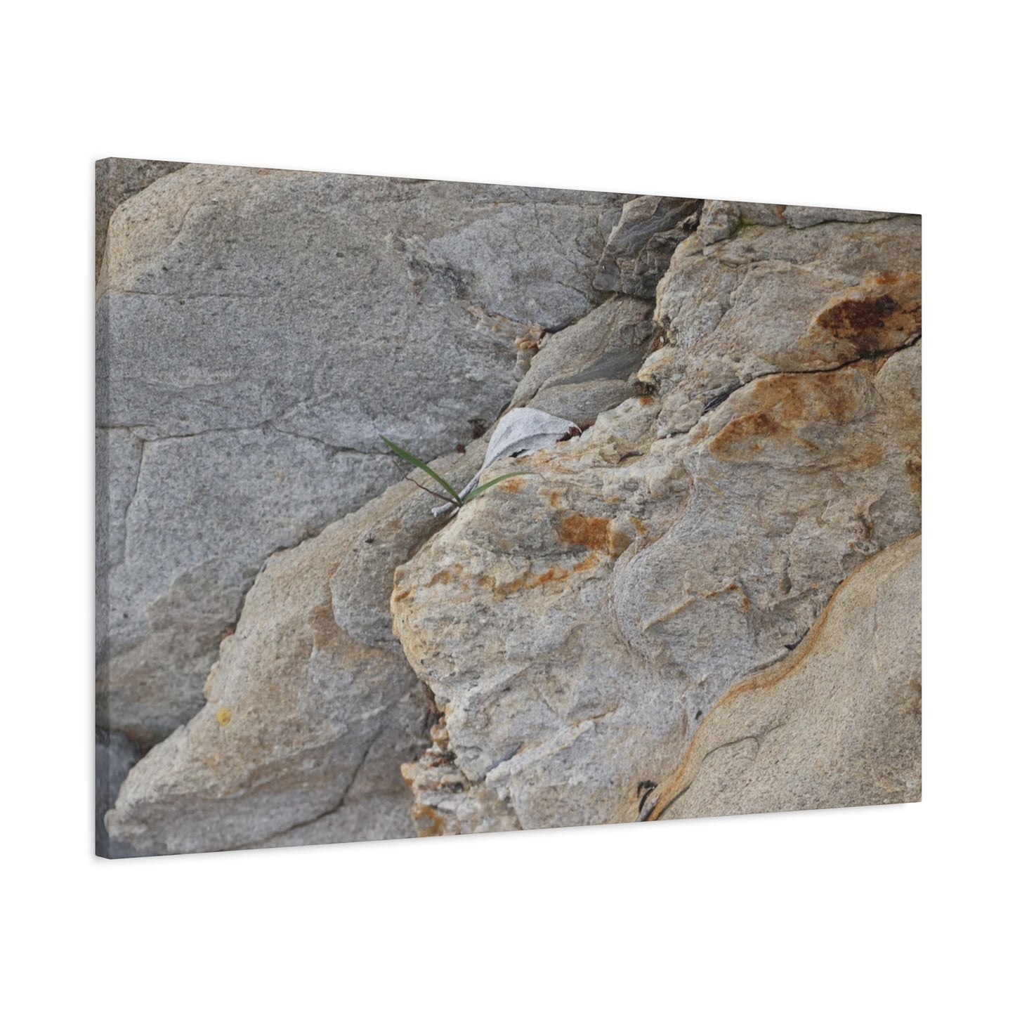 Fractal Earth - Unique Frameless Canvas Wall Art - Art By Earth