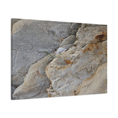 Fractal Earth - Unique Frameless Canvas Wall Art - Art By Earth