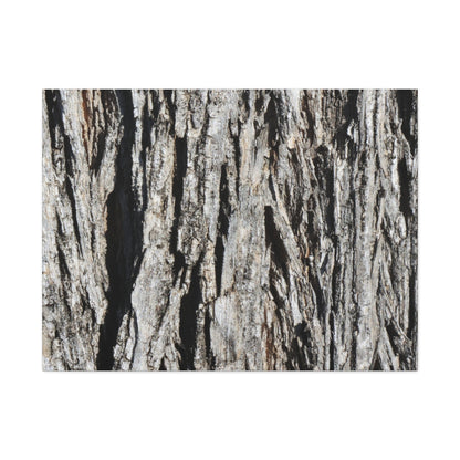 Bark Layers in Monochrome - Unique Frameless Canvas Wall Art - Art By Earth
