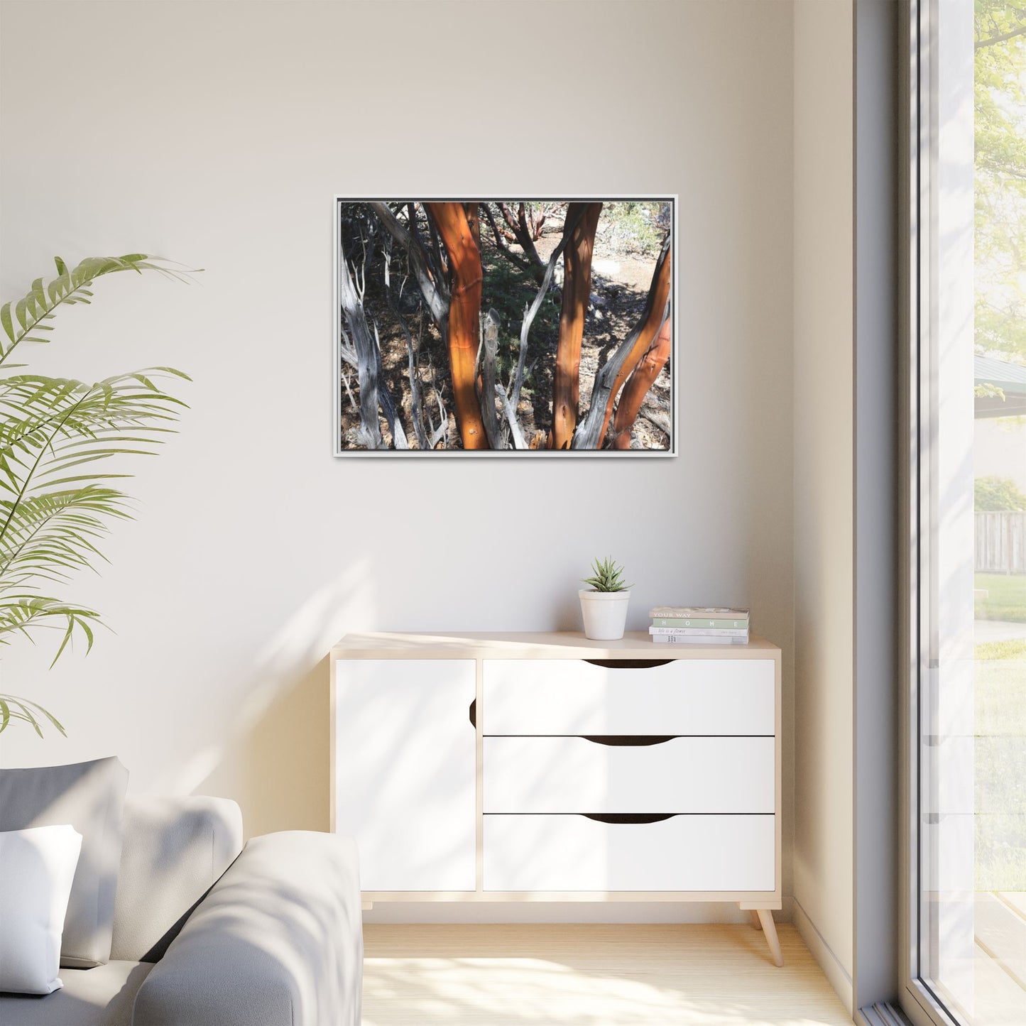 Eucalyptus Grove - Unique Stretched Canvas Wall Art