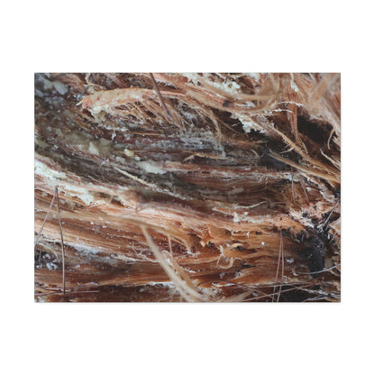 Decaying Whispers - Unique Frameless Canvas Wall Art - Art By Earth