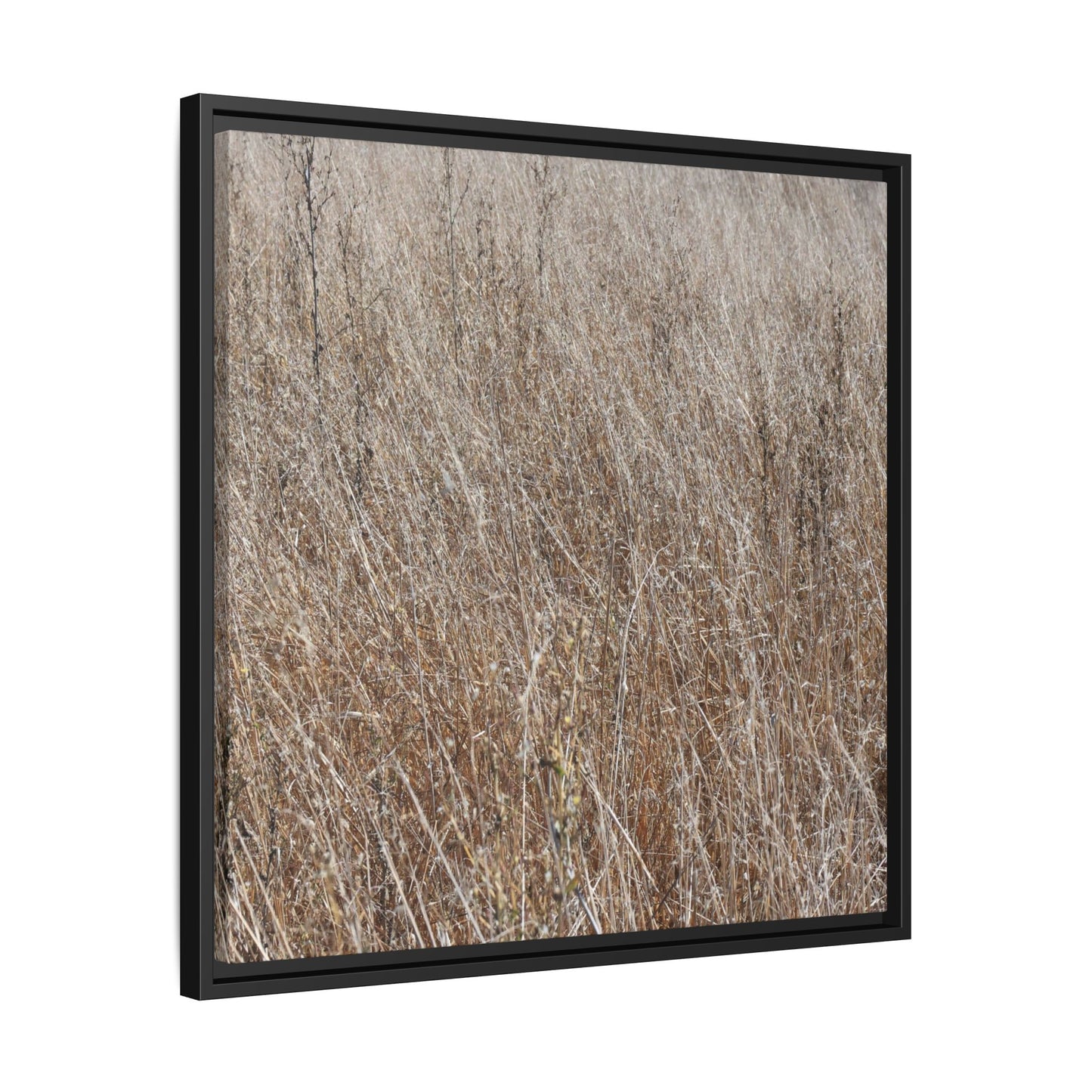 Whispers of Autumn - Unique Stretched Canvas Wall Art - Art By Earth