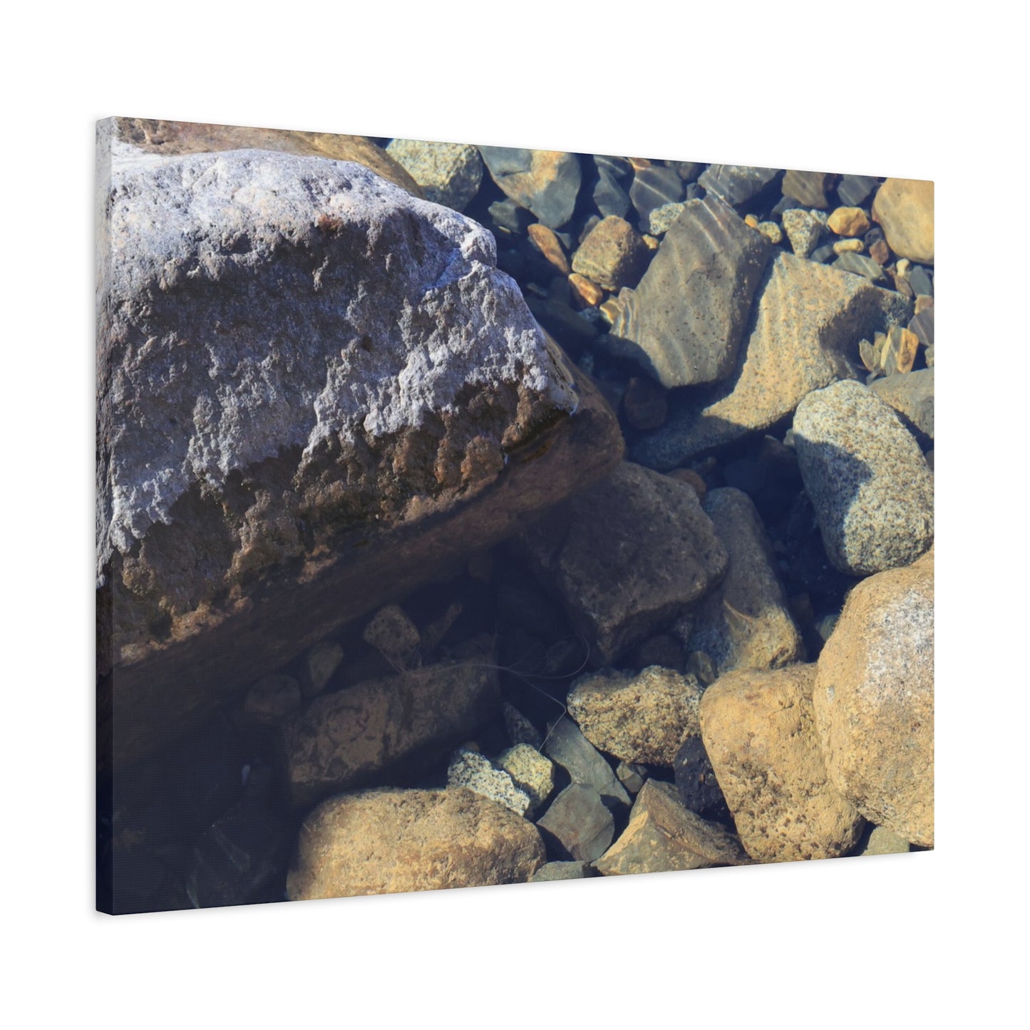 Lithic Symphony - Unique Frameless Canvas Wall Art