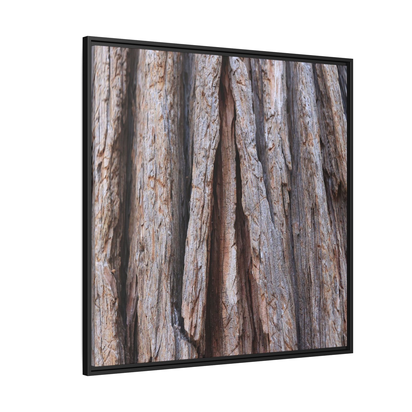 Nature's Sculpture - Unique Stretched Canvas Wall Art - Art By Earth