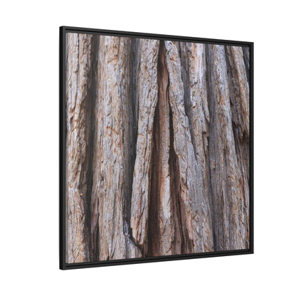Nature's Sculpture - Unique Stretched Canvas Wall Art - Art By Earth