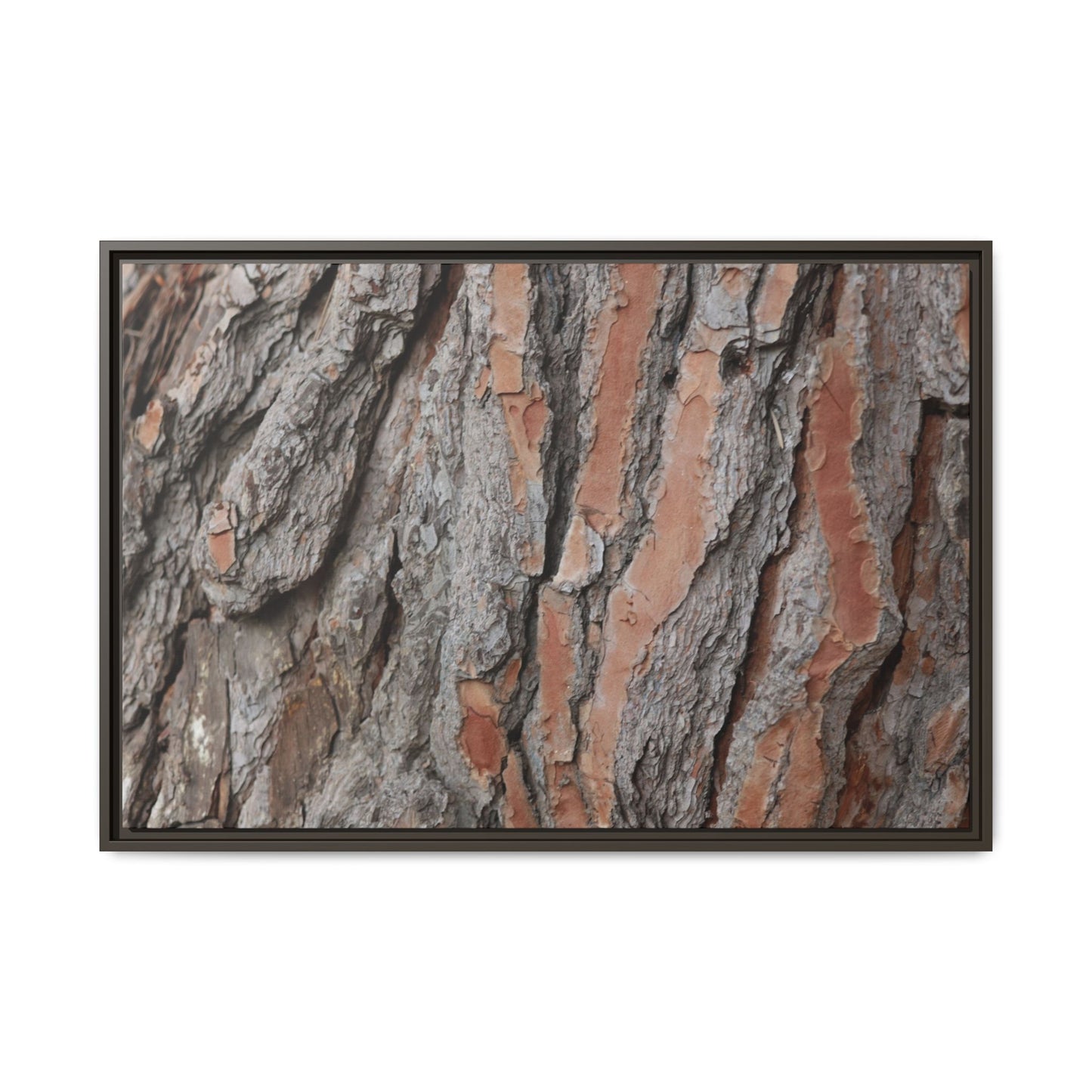Woodland Layers - Unique Stretched Canvas Wall Art - Art By Earth