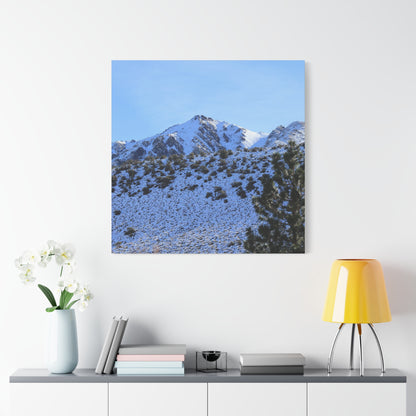 Snowy Peaks and Stoic Pines - Unique Frameless Canvas Wall Art