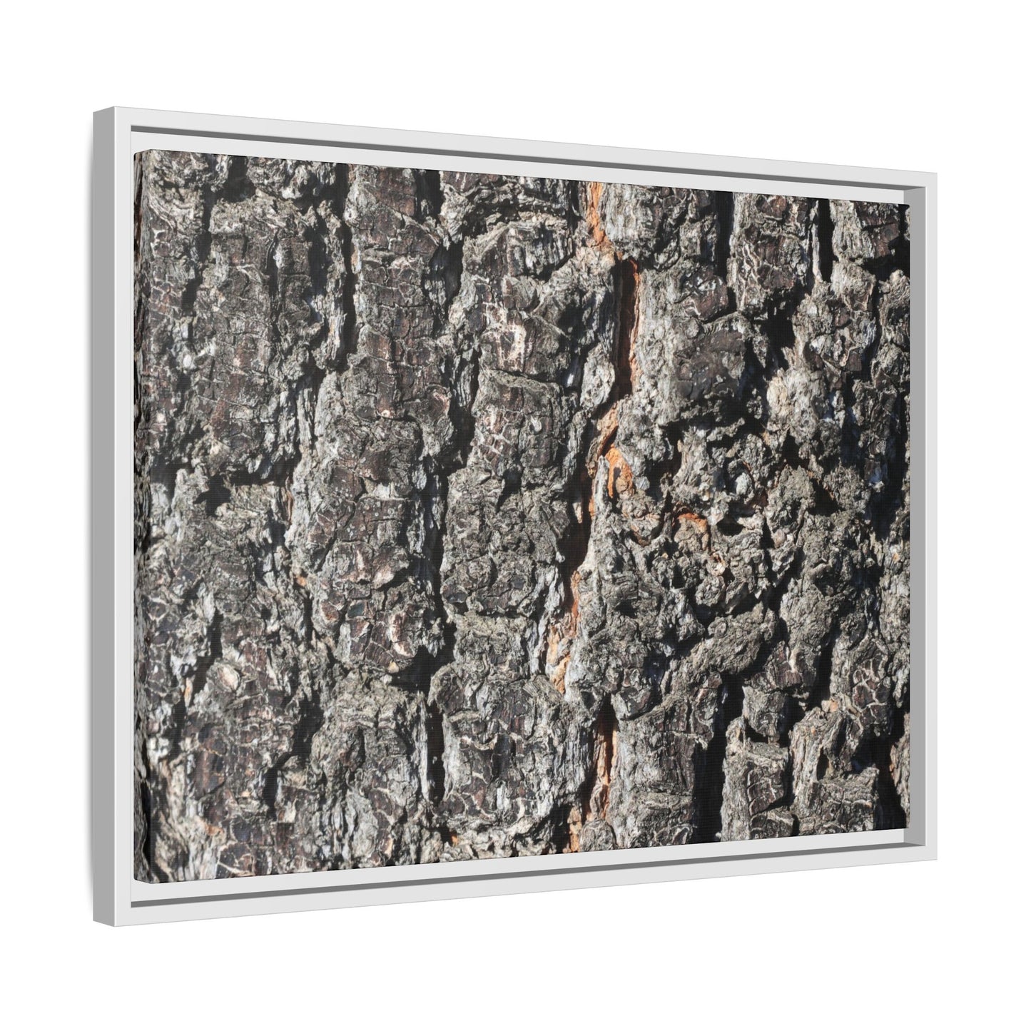 Aged Beauty - Unique Stretched Canvas Wall Art - Art By Earth